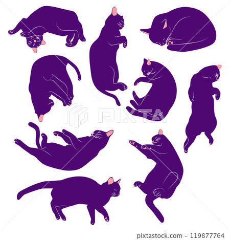 Mystical set of cats in boho style, Silhouette collection. Witchcraft and sorcery. Esoterics and mysticism, occultism 119877764