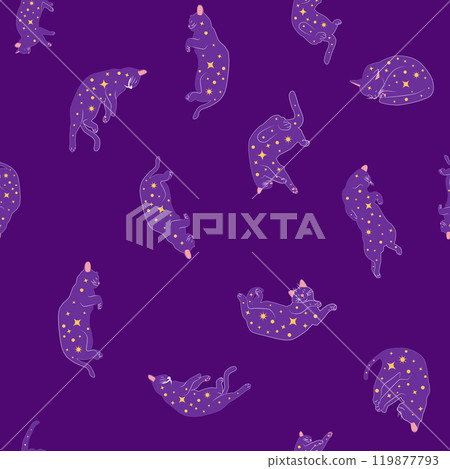 Mystical seamless pattern of cats in boho style, silhouette collection. Esotericism and mysticism, occultism. Mystical seamless pattern of cats in boho style, silhouette collection. Esotericism and mysticism, occultism. 119877793