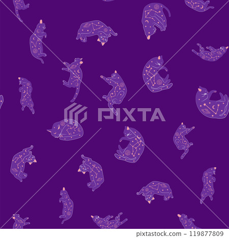 Mystical seamless pattern of cats in boho style, silhouette collection. Witchcraft and magic Mystical seamless pattern of cats in boho style, silhouette collection. Witchcraft and magic 119877809