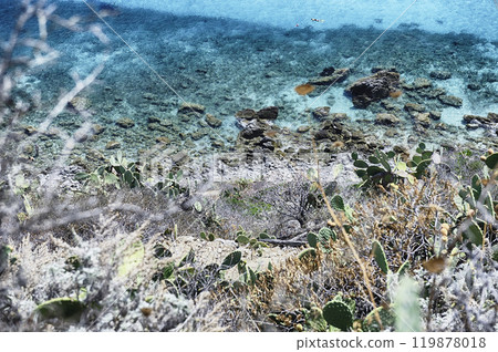 Natural landscape in Capo Vaticano, on the Tyrrhenian Sea, Italy 119878018