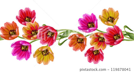 Pink, orange, yellow tulips. Seamless border or horizontal frame of watercolor flowers isolated on a white background for Mother's, Women's,Valentine's Day, Easter, spring holidays, birthday, weddings 119878041