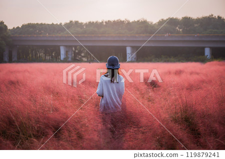小梅純蘭氏草與女人 小梅純蘭氏草與女人 119879241