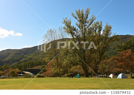 Autumn leaves at Koriyama Ishimuro Ranch 119879432
