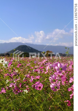 夏秋季節的奈良,天空中的香格里拉山,藤原京都的廢墟,宇宙,春天之後的驛城多江天空中的香格里拉山,秋天的櫻花。 夏秋季節的奈良,天空中的香格里拉山,藤原京都的廢墟,宇宙,春天之後的驛城多江天空中的香格里拉山,秋天的櫻花。 119879738