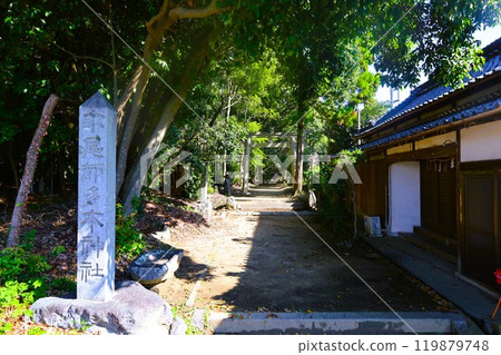 Summer and autumn in Nara, Mount Amanokagu, the ruins of Fujiwara-kyo, cosmos, spring has passed and summer has come, the white clothes of Mount Amanokagu are hanging, cosmos 119879748