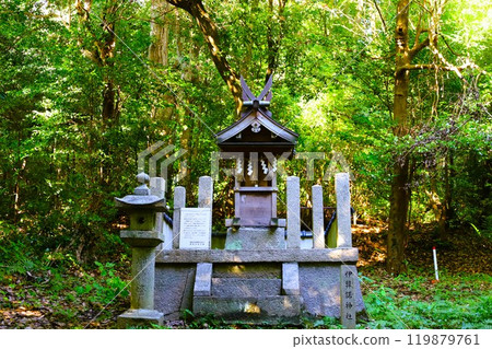 Summer and autumn in Nara, Mount Amanokagu, the ruins of Fujiwara-kyo, cosmos, spring has passed and summer has come, the white clothes of Mount Amanokagu are hanging, cosmos 119879761