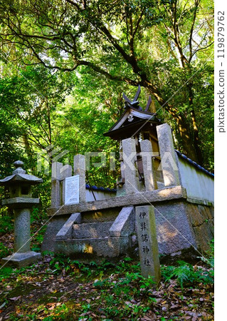 Summer and autumn in Nara, Mount Amanokagu, the ruins of Fujiwara-kyo, cosmos, spring has passed and summer has come, the white clothes of Mount Amanokagu are hanging, cosmos 119879762
