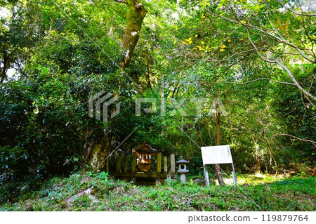 夏秋季節的奈良，天空中的香格里拉山，藤原京都的廢墟，宇宙，春天之後的驛城多江天空中的香格里拉山，秋天的櫻花。 119879764