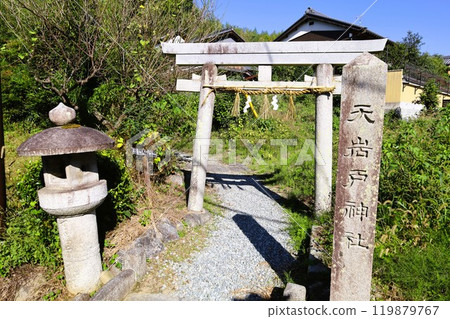 Summer and autumn in Nara, Mount Amanokagu, the ruins of Fujiwara-kyo, cosmos, spring has passed and summer has come, the white clothes of Mount Amanokagu are hanging, cosmos 119879767