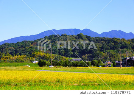 Summer and autumn in Nara, Mount Amanokagu, the ruins of Fujiwara-kyo, cosmos, spring has passed and summer has come, the white clothes of Mount Amanokagu are hanging, cosmos 119879771