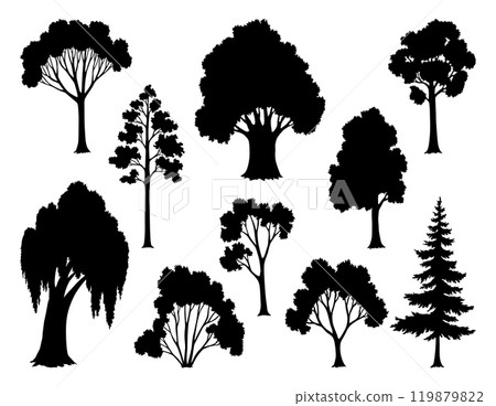 Trees black silhouettes, natural wild landscape. Refined digital illustration capturing essence of tree in striking black silhouette. Vector foreground of woodlands 119879822