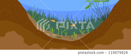 Pond ecosystem. Ecosystem of with different animals in their natural habitat. Pond ecosystem structure for biology lessons. Vector cartoon illustration 119879826