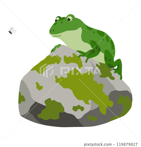 Picturesque natural pond inhabitant. Green frog on stone. Concept of outdoor scene. Vector cartoon illustration 119879827