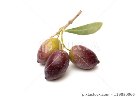 fresh olives isolated 119880066