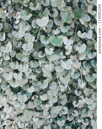 Vintage background with light green plants 119880269