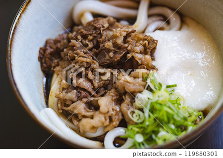 Ise specialty Ise udon 119880301