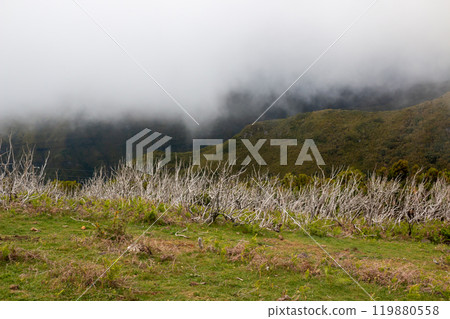 Mountains and clouds, Madeira, Portugal 119880558