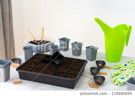 Planting tomato and pepper seeds on seedlings at home Planting tomato and pepper seeds on seedlings at home 119880894