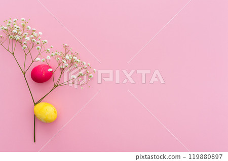 Easter eggs with gypsophila on a pink background Easter eggs with gypsophila on a pink background 119880897