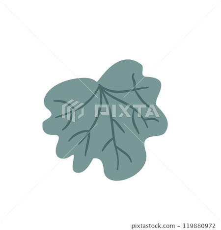 Heuchera isolated on white background. Stylized leaf plant. Vector hand drawn illustration 119880972