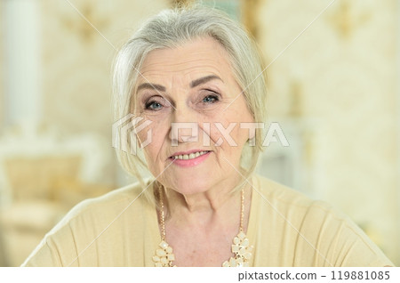 Portrait of smiling senior woman posing at home Portrait of smiling senior woman posing at home 119881085