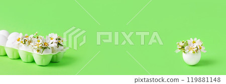 White eggs in egg tray with spring pear and strawberry flowers on green background. Happy Easter concept. Greeting card. Banner 119881148