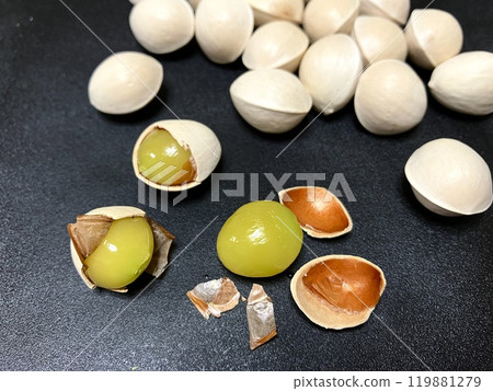 Peeled ginkgo nuts 119881279