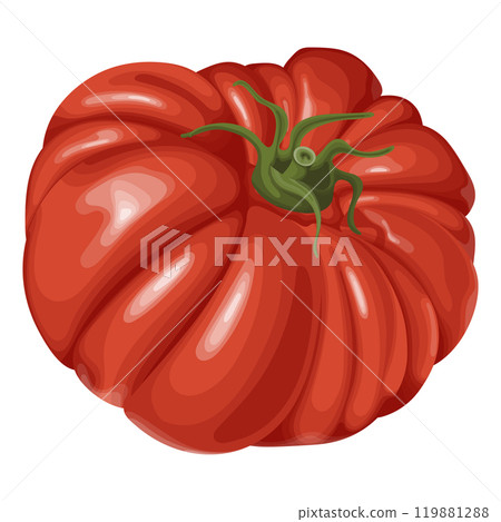 This vector illustration depicts a ripe, red tomato with green stem details, showcasing its plump, glossy surface and rich color. 119881288