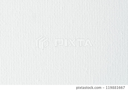 White canvas cloth fabric 119881667