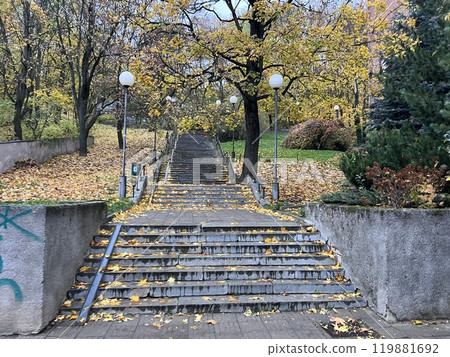 stairs covered with autumn leaves in Kaunas, autumn 119881692