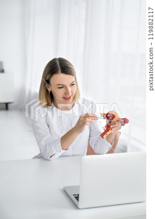 A female doctor tells and shows the principle of ovarian function on an anatomical model of the uterus. Working with patients via video communication on a computer 119882117