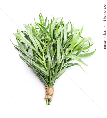 Tarragon grass on white backgrounds Tarragon grass on white backgrounds 119882328