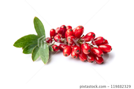 Barberry fruits on white backgrounds 119882329