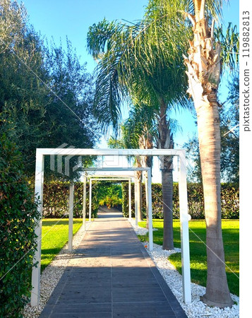 path with white arch surrounded by palm trees in the park path with white arch surrounded by palm trees in the park 119882813