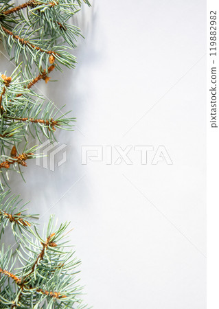 Fresh evergreen branches frame a blank background, ideal for holiday decorations or seasonal designs in winter 119882982