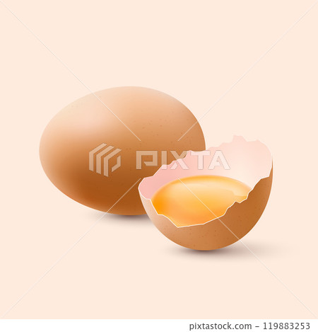 Chicken Eggs 119883253