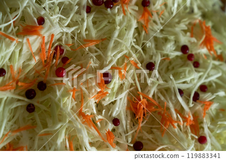 Process of harvesting sauerkraut. Autumn pickling of cabbage. ,cutting cabbage preparation Process of harvesting sauerkraut. Autumn pickling of cabbage. ,cutting cabbage preparation 119883341