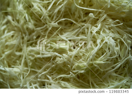 Process of harvesting sauerkraut. Autumn pickling of cabbage. ,cutting cabbage preparation 119883345