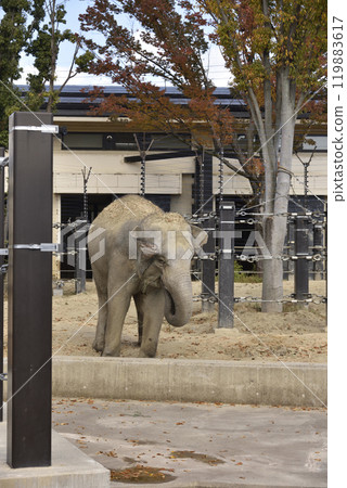 京都市動物園的亞洲象 119883617