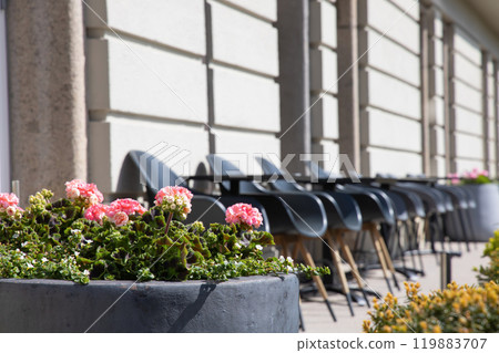 Terrace with outdoor furniture, lounge chairs and flowers in a pot on a sunny day. 119883707
