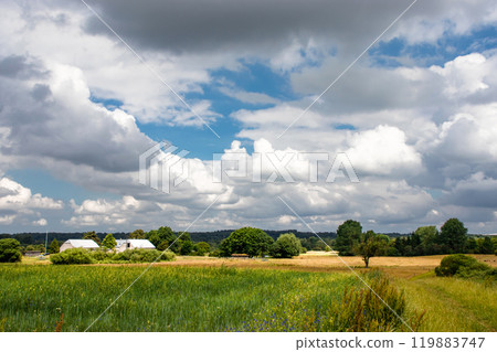 Rural landscape green field with a tree and a field of flowers on a summer day. Rural landscape green field with a tree and a field of flowers on a summer day. 119883747