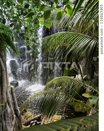 Jungle Landscape with Waterfall , Tropical Background 119883905