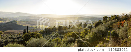 Tuscany landscape at sunrise. Typical for the region tuscan farm house, hills, vineyard. Italy 119883911