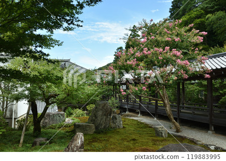 Rokudo-tei Garden, Nanzenji Temple Garden (Sakyo Ward, Kyoto City) 119883995