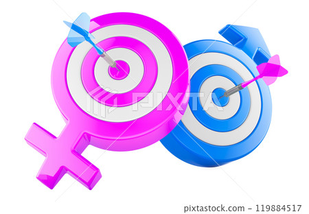 Female Target and Male Target with arrows in bullseyes, 3D rendering isolated on transparent background Female Target and Male Target with arrows in bullseyes, 3D rendering isolated on transparent background 119884517