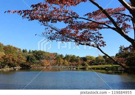 Momiji behind blue sky Momiji behind blue sky 119884955