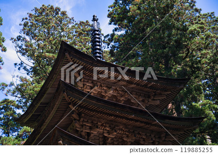 茅草屋頂修復後的羽山山五層寶塔 茅草屋頂修復後的羽山山五層寶塔 119885255