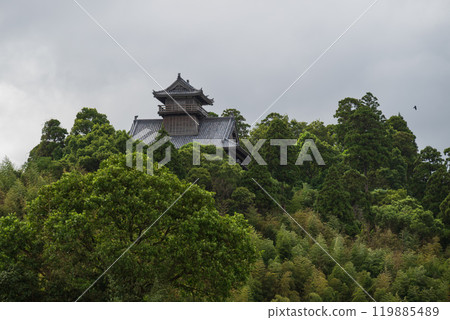 An ancient castle tower seen through the trees at the summit 119885489