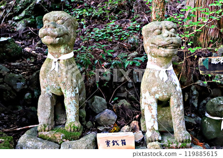 Shinshiro City, Aichi Prefecture: Cute lion dogs at Horaisan Toshogu Shrine 119885615