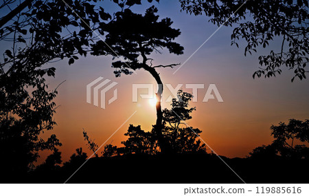 Shinshiro City, Aichi Prefecture: Sunset at the approach to Horaisan Toshogu Shrine 119885616